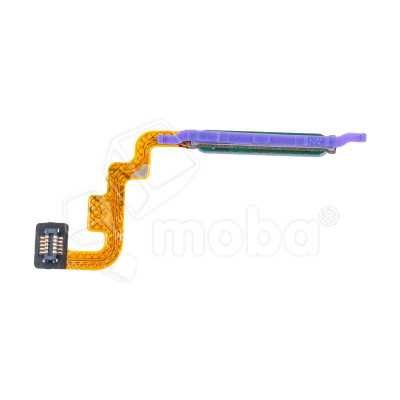 FPC-XMI-RMINT-11-FP-BL_1