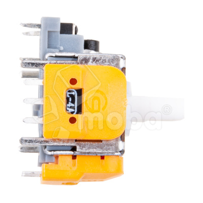 ELG-GMD-SW-PR-NTD-SW_1